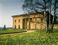 East front and daffodils, Belsay Hall, Northumberland, 1992