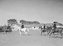 East Hampton hunt, 1933 Sept. Creator: Arnold Genthe