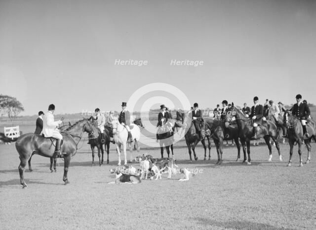 East Hampton hunt, 1933 Sept. Creator: Arnold Genthe.