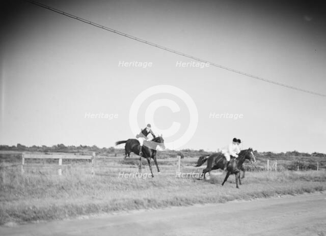 East Hampton hunt, 1933 Sept. Creator: Arnold Genthe.