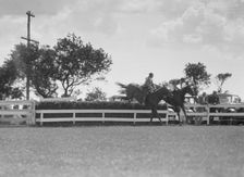 East Hampton horse show, 1932. Creator: Arnold Genthe