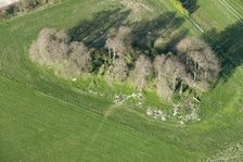 East Kennett long barrow, Wiltshire, 2015. Creator: Historic England