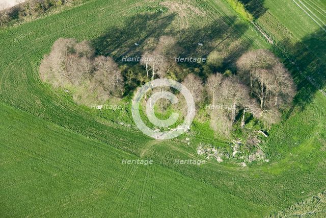 East Kennett long barrow, Wiltshire, 2015. Creator: Historic England.