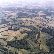 Eastnor Park, Malvern Hills, Herefordshire, 1999