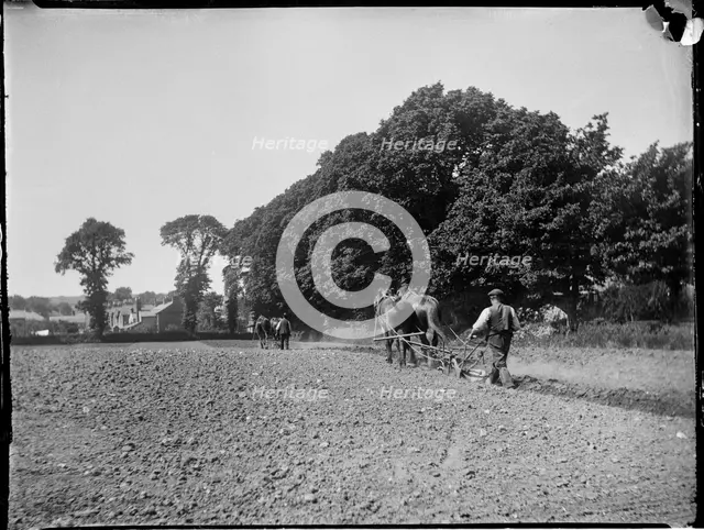 Easton, Freshwater, Isle of Wight, 1914. Creator: Katherine Jean Macfee.