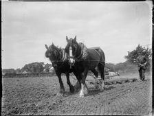 Easton, Freshwater, Isle of Wight, 1914. Creator: Katherine Jean Macfee
