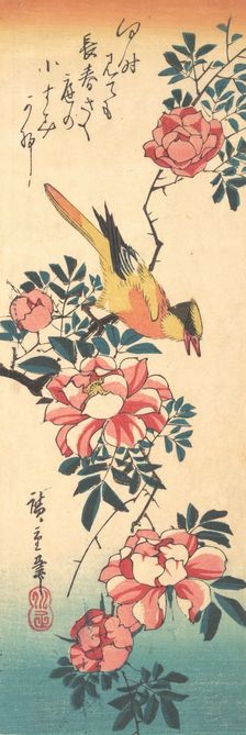 Eastern Grey Wagtail and Rose, early 1830s., early 1830s. Creator: Ando Hiroshige