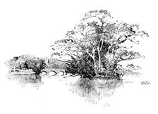 Eastwell Park: the Lake, 1895. Creator: Unknown