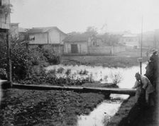 Ecuador, 1912. Creator: Harris & Ewing