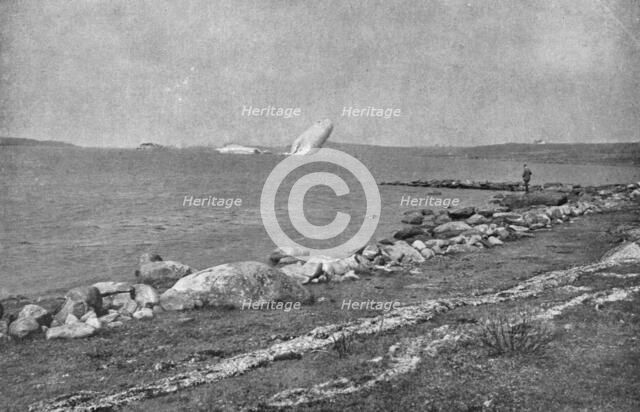 'Echoue sur la cote Norvegienne; L' epave du zeppelin L-20, flottant au gre des vents, au milieu du  Creator: Unknown.