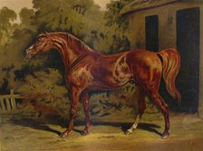 Eclipse c1879. Creator: Unknown