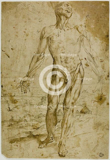 Écorché before Landscape (recto), n.d. Creator: Unknown.