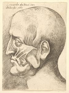Ecorche head of a man in profile to left, 1660. Creator: Wenceslaus Hollar
