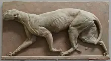 Écorché Panther, mid-late 18th century? Creator: George Stubbs