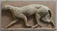 Écorché Panther, mid-late 18th century? Creator: George Stubbs