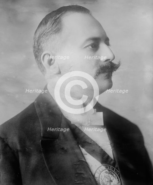 Eduardo Schaerer, Pres. Paraguay, between c1910 and c1915. Creator: Bain News Service.