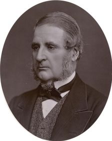 Edward Matthew Ward, historical painter, 1878. Creator: Lock & Whitfield