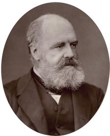 Edward Armitage, professor and lecturer on painting to the Royal Academy, 1878. Creator: Lock & Whitfield
