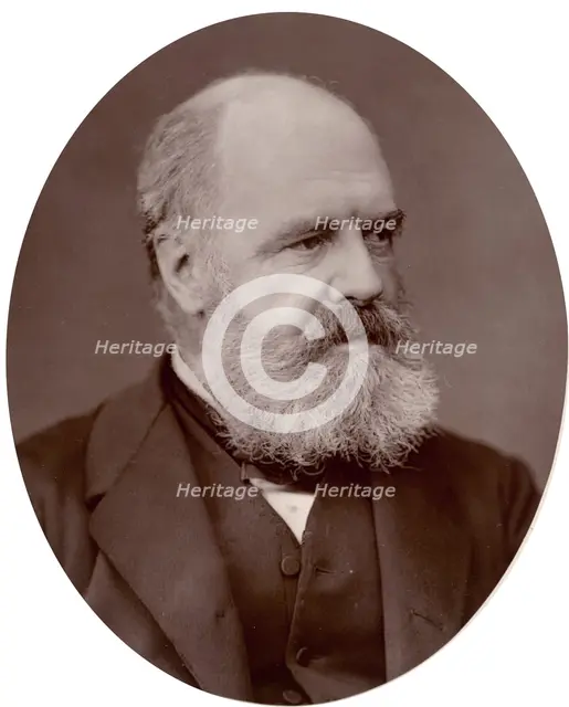 Edward Armitage, professor and lecturer on painting to the Royal Academy, 1878. Creator: Lock & Whitfield.