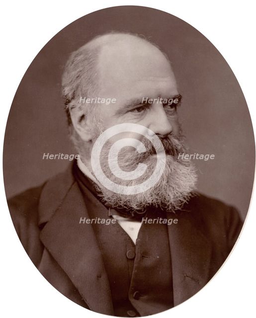 Edward Armitage, professor and lecturer on painting to the Royal Academy, 1878. Creator: Lock & Whitfield.