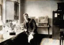 Edward Treacher Collins, 1888/1893. Creator: Unknown