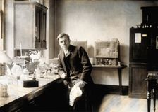 Edward Treacher Collins, 1888/1893. Creator: Unknown