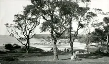 Edwards Beach, Balmoral, c1910. Creator: Unknown