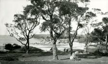 Edwards Beach, Balmoral, c1910. Creator: Unknown