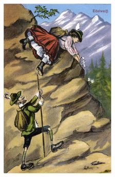 Edelweiss late 19th or early 20th century(?)