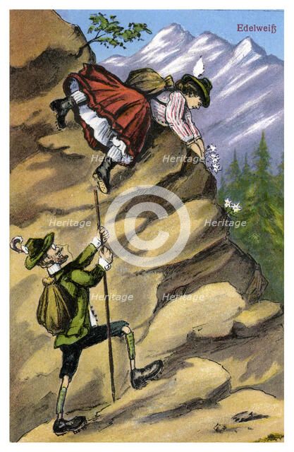'Edelweiss', late 19th or early 20th century(?). Artist: Unknown