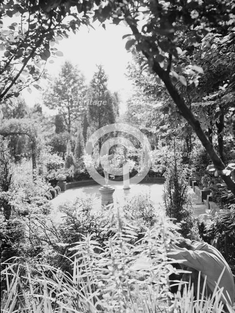 Edge, Charles N., garden, 1933 Creator: Arnold Genthe.