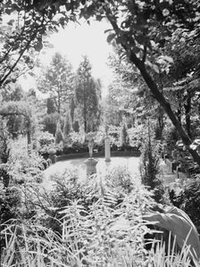 Edge, Charles N., garden, 1933 Creator: Arnold Genthe