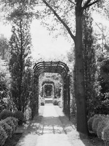 Edge, Charles N., garden, 1933 June 18. Creator: Arnold Genthe