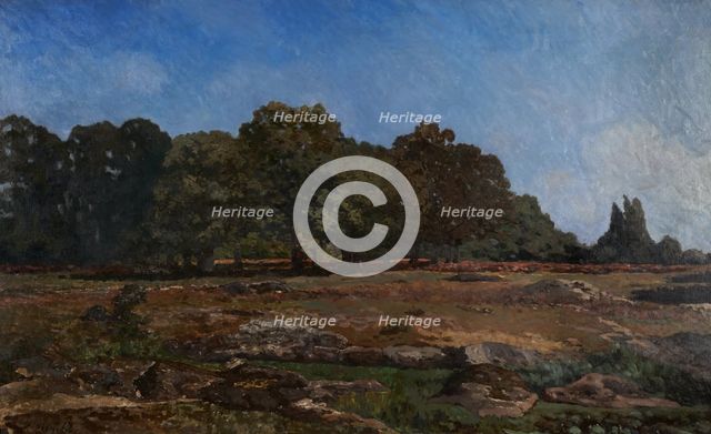 Edge of the forest of Fontainebleau, 1865. Creator: Alfred Sisley.
