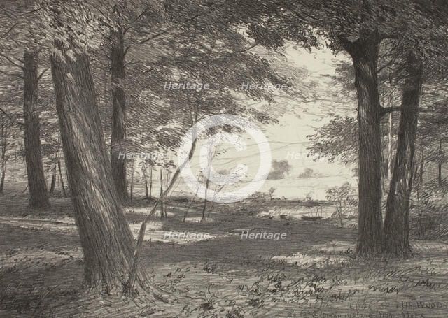 Edge of the Woods, c1920s. Creator: Bolton Coit Brown.