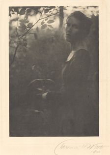 Edge of the Woods, Evening, 1900. Creator: Clarence H White