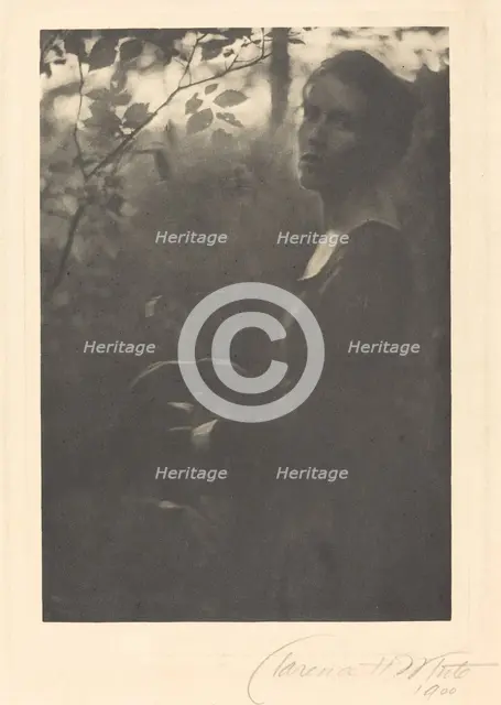 Edge of the Woods, Evening, 1900. Creator: Clarence H White.