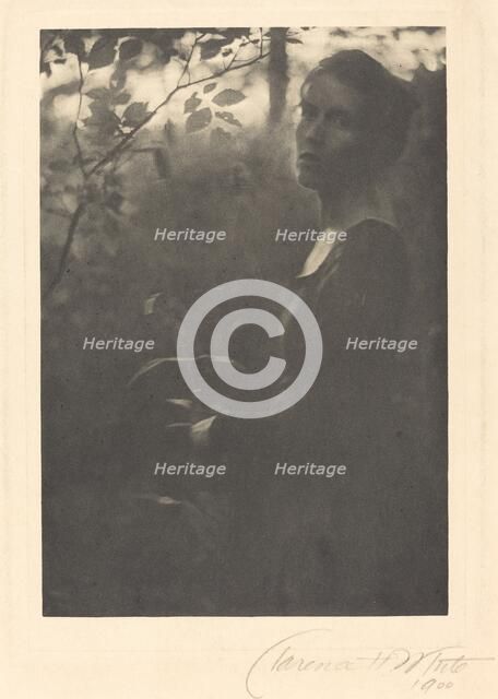 Edge of the Woods, Evening, 1900. Creator: Clarence H White.