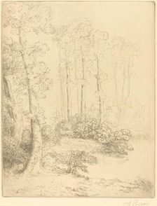 Edge of the Water (Au bord de l'eau). Creator: Alphonse Legros