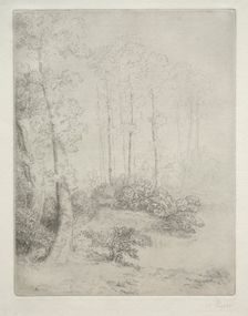 Edge of the Water (Au Bord de LEau). Creator: Alphonse Legros (French, 1837-1911)