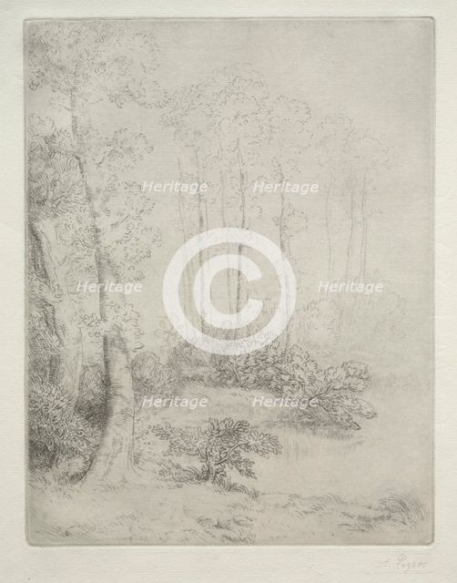 Edge of the Water (Au Bord de LEau). Creator: Alphonse Legros (French, 1837-1911).