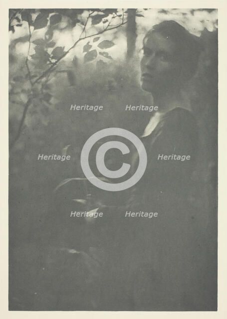 Edge of Woods, c. 1899. Creator: Clarence H White.
