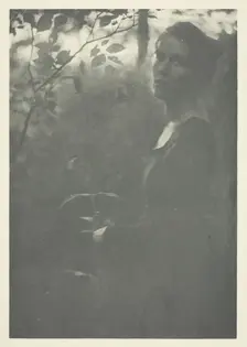 Edge of Woods, c. 1899. Creator: Clarence H White