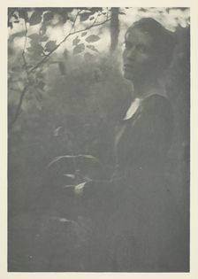 Edge of Woods, c. 1899. Creator: Clarence H White