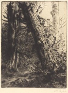 Edge of a Brook (Bord de ruisseau). Creator: Alphonse Legros