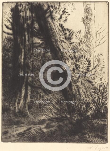 Edge of a Brook (Bord de ruisseau). Creator: Alphonse Legros.
