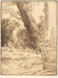 Edge of a Brook (Bord de ruisseau). Creator: Alphonse Legros