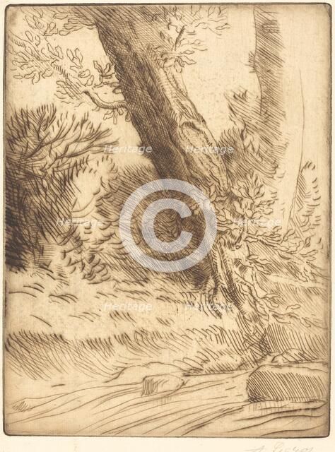 Edge of a Brook (Bord de ruisseau). Creator: Alphonse Legros.