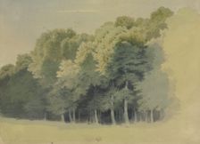 Edge of a wood, 1855. Creator: Carl Theodor Reiffenstein