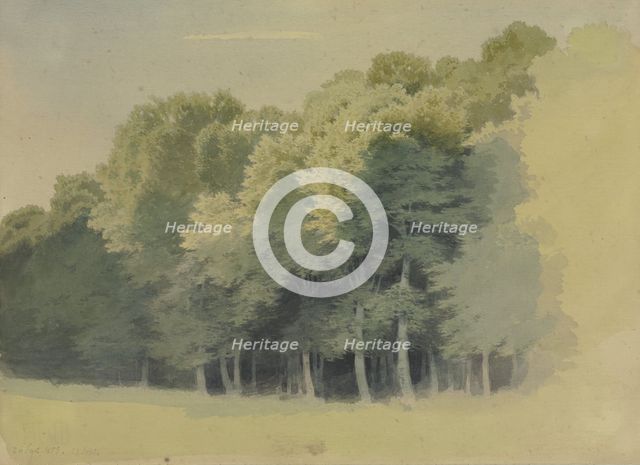 Edge of a wood, 1855. Creator: Carl Theodor Reiffenstein.